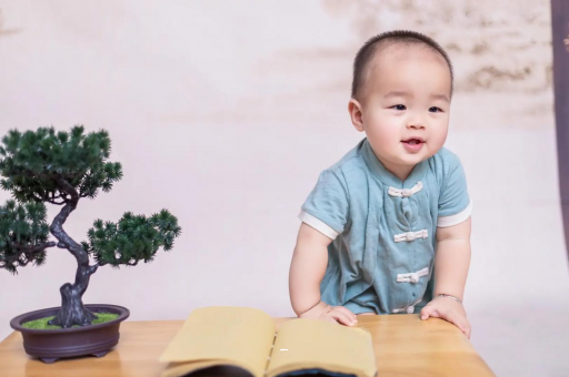 福鼎可爱的企鹅宝宝